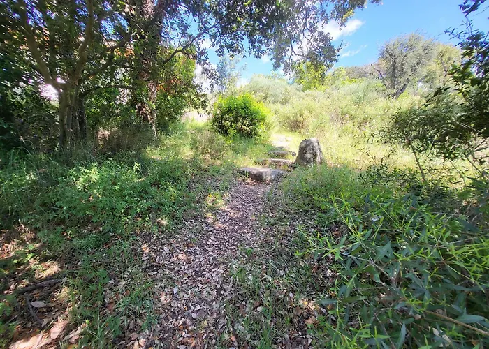 Vila Lantana Porto-Vecchio (Corsica)