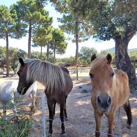 Lantana Willa Porto-Vecchio (Corsica)